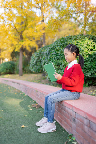 istock Little Girl Reading Book 1351640756