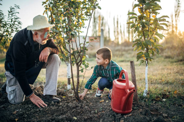 istock Grandfather and grandson work in the garden 1351646533