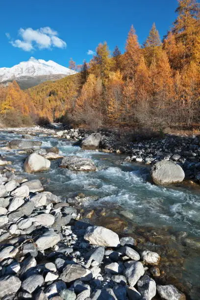Photo taken at the beginning of November upstream of Saint-Paul-sur-Ubaye in the Alpes-de-Haute-Provence.
The water of the Ubaye is very clear in this season and the larch will soon lose their thorns.
In the background, under a thin layer of snow, the Chambeyron massif with its peaks whose altitude is above 3000m