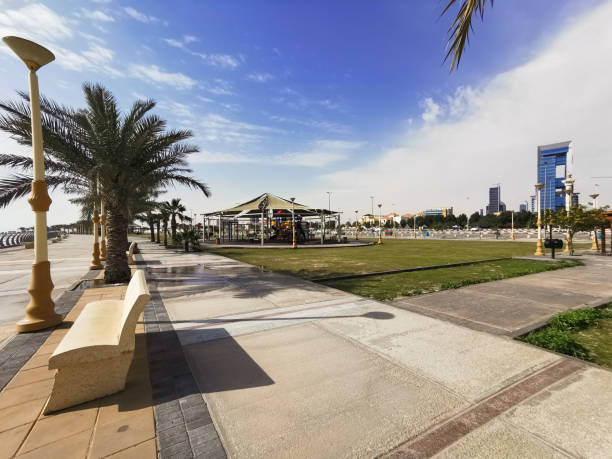 istock public park with palm trees and green grass 1351647572