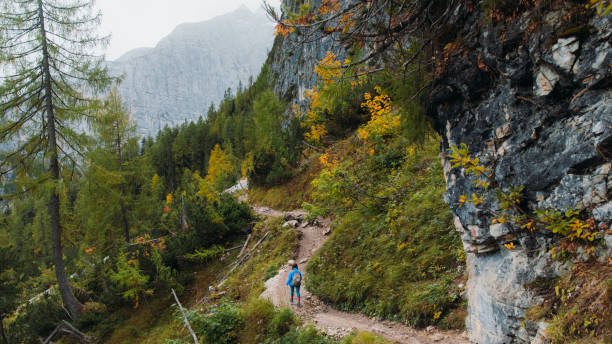 istock Female backpacker enjoying autumn time in the mountain wilderness 1351647667
