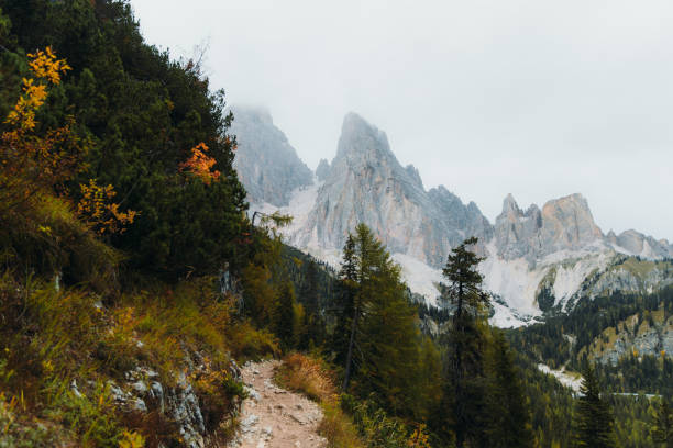 malowniczy widok na jesienną dzicz w alpejskiej górskiej dziczy - trentino alto adige zdjęcia i obrazy z banku zdjęć