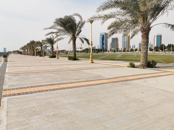 istock public park with palm trees and green grass 1351647768