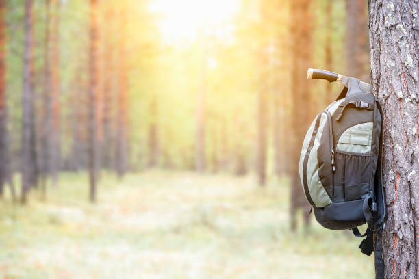 istock Tourist backpack hangs on hunting knife in sunny forest. Camping equipment. 1351648446