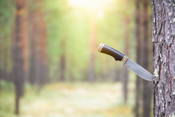 Ozdobny nóż utknął w pniu drzewa w nasłonecznionym lesie, pokazując jego zastosowanie w przygodach na świeżym powietrzu.