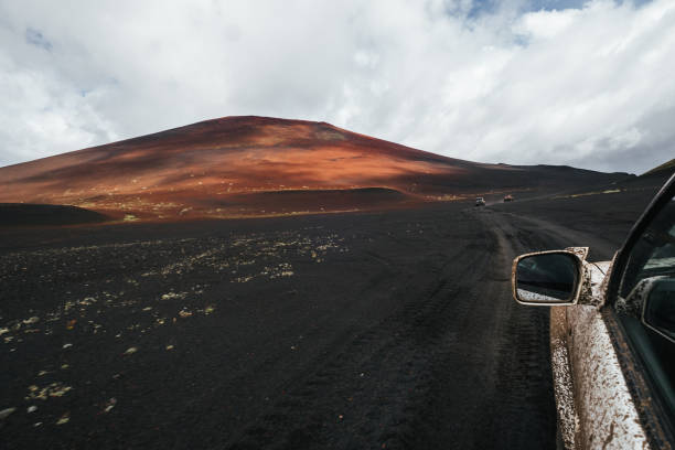 istock driving through  dead forest near volcano after an eruption. Ash and slag post-apocalyptic landscape 1351652041