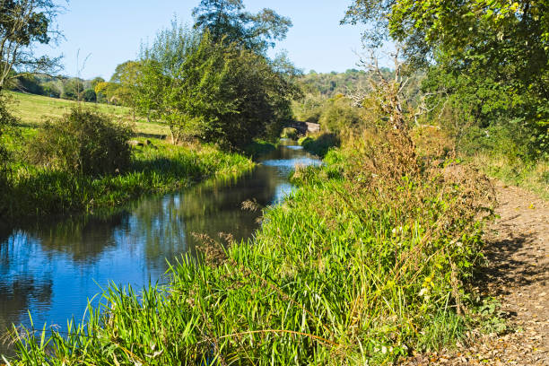 istock Bright autumn morning on the Cromford canal. 1351658342