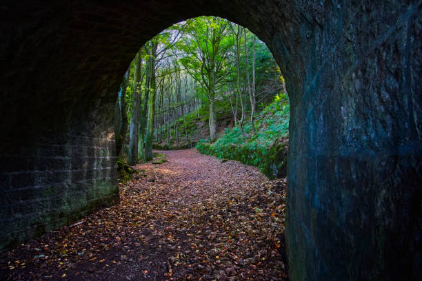 istock Inside a disused railway tunnel on a woodland trail 1351658348