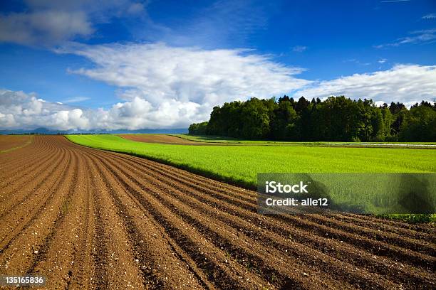 Farm Campo Arato - Fotografie stock e altre immagini di Agricoltura - Agricoltura, Ambientazione esterna, Ambiente