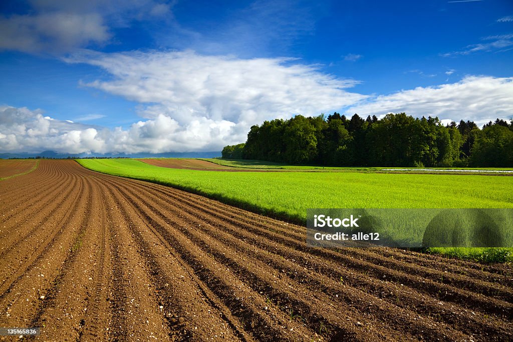 Fazenda Campo Lavrado - Foto de stock de Agricultura royalty-free