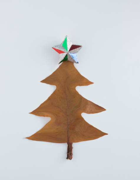 istock Christmas tree made of maple leaf on white background. Flat lay. New Year nature minimal concept. 1351665864