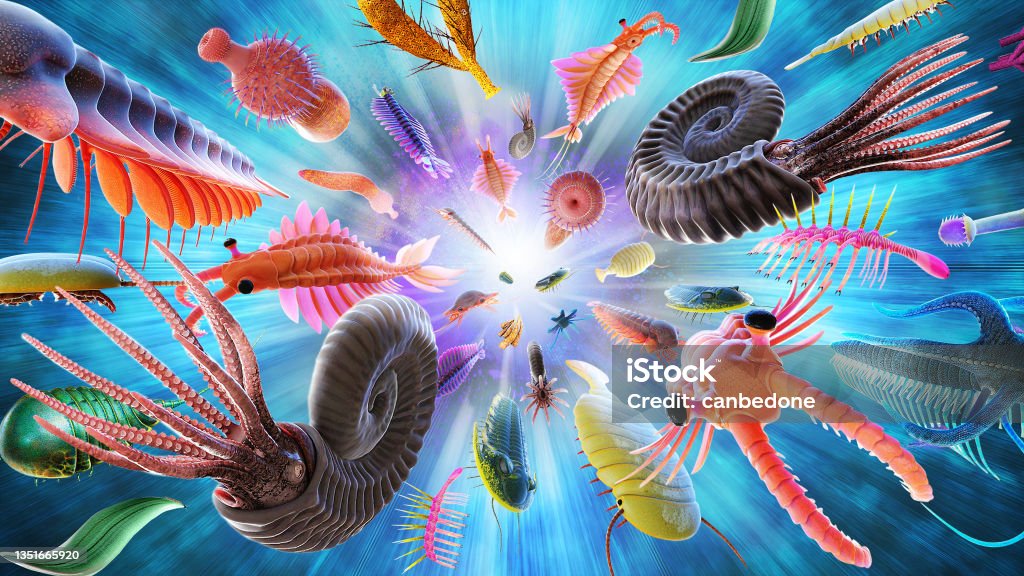 Cambrian explosion or Cambrian radiation Cambrian Stock Photo