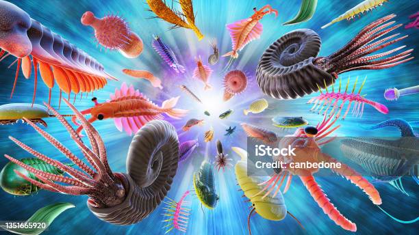 Cambrian Explosion Or Cambrian Radiation Stock Photo - Download Image Now - Cambrian, Exploding, Sea