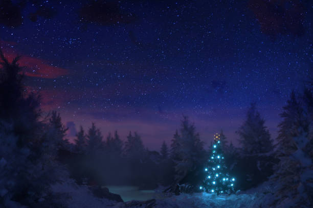 istock Chrismas tree in beauty 1351666011