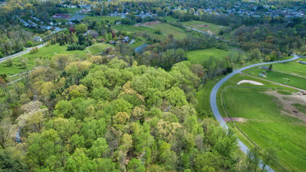 istock Aerial View of Beautifully Blooming Colored Trees and Plants and Unique Structures 1351666100