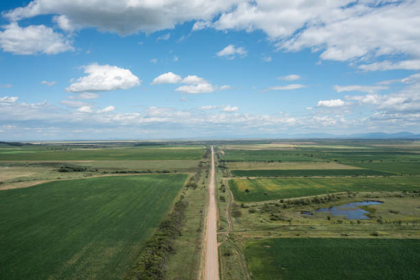 istock Country road among the fields. 1351667264