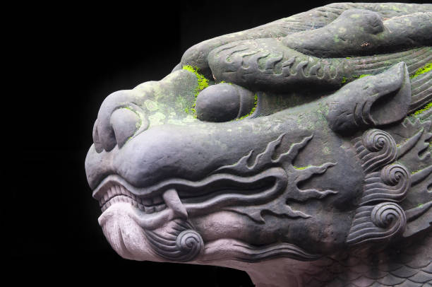 istock chinese dragon head against a black background 1351667448