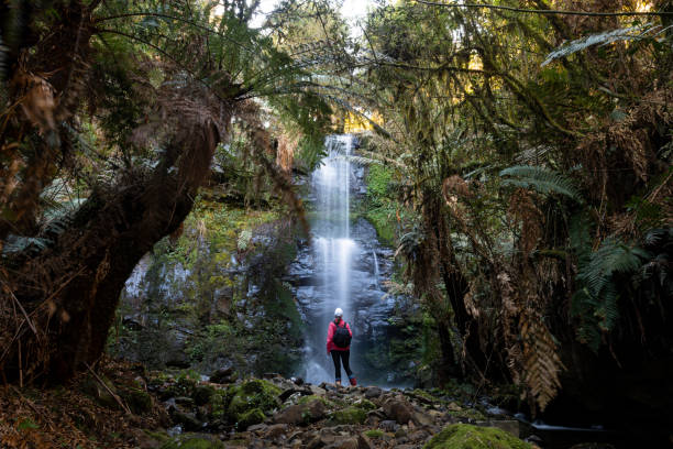 istock The language of nature 1351668337
