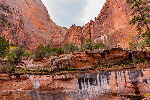 Breathtaking view of the canyon. Along the way on EMERALD POOLS TRAIL, Zion National Park, Utah, USA