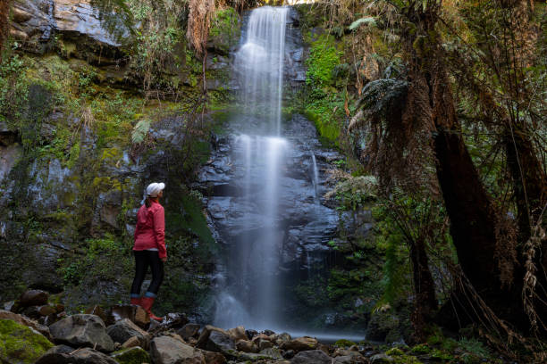 istock The silence of nature 1351668599