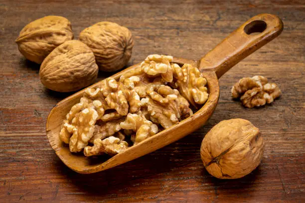 English walnuts on a rustic wooden scoop against grunge weathered wood surface