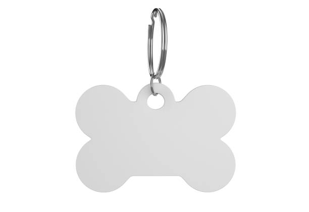Blank Cat Dog Id Tag Name Pendant Bone Necklace Collar Mockup.