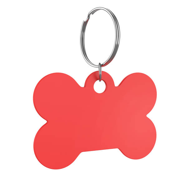 istock Blank Cat Dog Id Tag Name Pendant Bone Necklace Collar Mockup. 1351669920