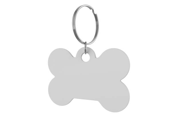 istock Blank Cat Dog Id Tag Name Pendant Bone Necklace Collar Mockup. 1351669921