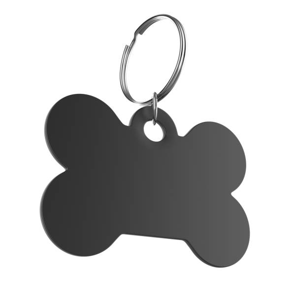 istock Blank Cat Dog Id Tag Name Pendant Bone Necklace Collar Mockup. 1351669941