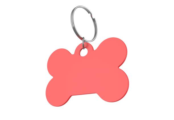 istock Blank Cat Dog Id Tag Name Pendant Bone Necklace Collar Mockup. 1351669947