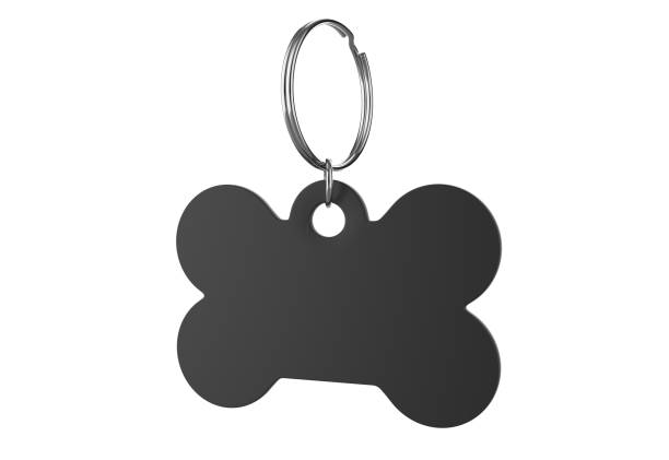 istock Blank Cat Dog Id Tag Name Pendant Bone Necklace Collar Mockup. 1351669948