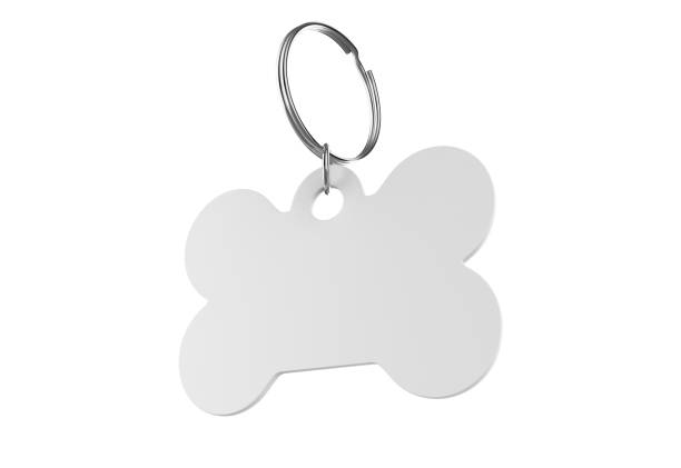 istock Blank Cat Dog Id Tag Name Pendant Bone Necklace Collar Mockup. 1351669952