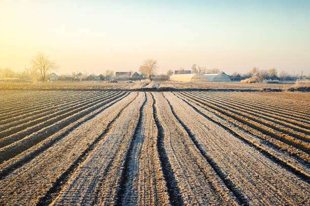 istock Preparing farm field for spring work and planting season. Choosing right time for sow fields plant seeds, protection from spring frosts. Agriculture agribusiness. Countryside and small households. 1351669959