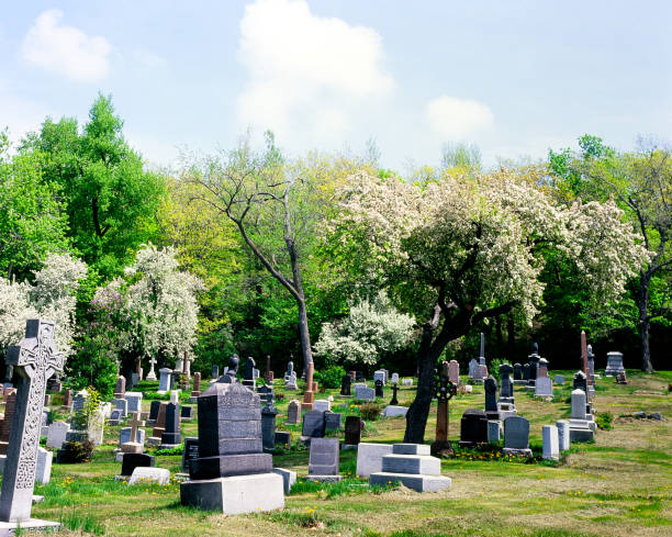 Flowering trees and gravestones Montreal, Canada