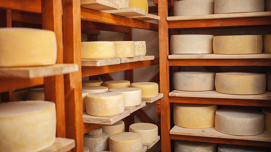 Wooden shelves in the basement, cellar with round cheese. Home production from milk, private entrepreneur, business. Indoor. Storage and maturation