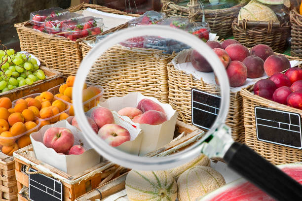 haccp (hazard analysis and critical control points) - food safety and quality control in food industry concept about fresh fruit - voedselveiligheid stockfoto's en -beelden