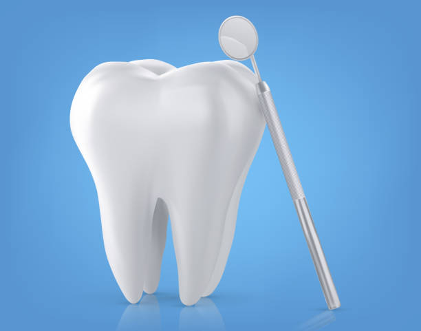 ilustraciones, imágenes clip art, dibujos animados e iconos de stock de modelo dental de un diente, ilustración como concepto de examen dental de dientes, salud dental e higiene. - premolar