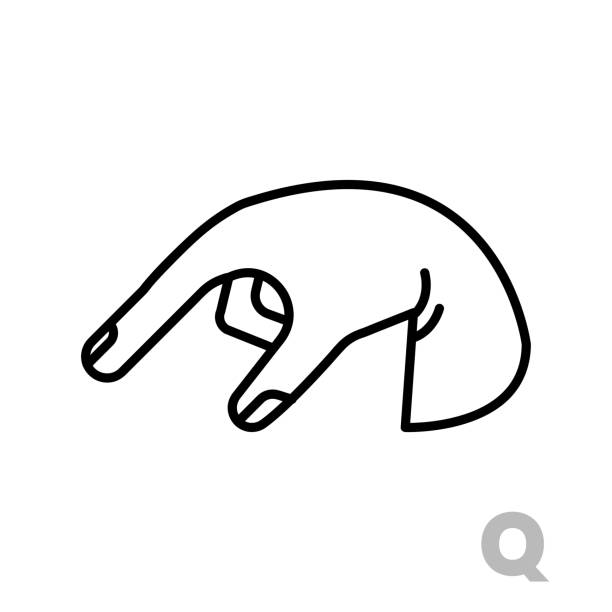ilustrações, clipart, desenhos animados e ícones de letra q letra universal e letra de alfabeto de mão deficiente. - human hand teaching human eye sketching