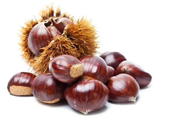 Chestnuts isolated on white background.