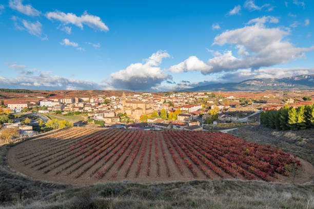 colorful vineyards of la rioja during autumn  season aerial view of la rioja vineyards, Spain hispanic day stock pictures, royalty-free photos & images