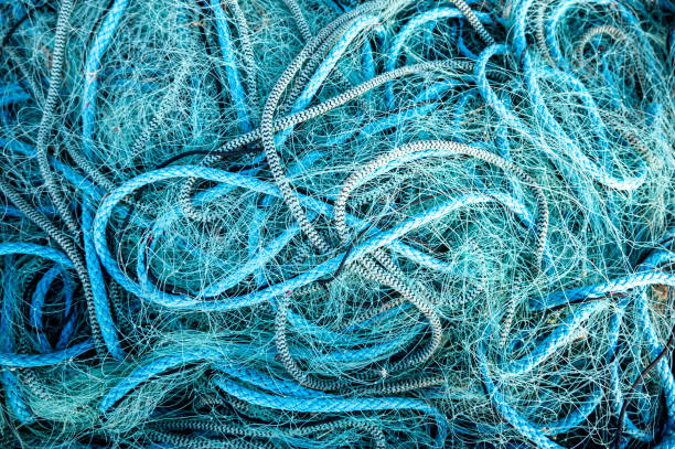 Fishing nets and lobster pots on the quayside