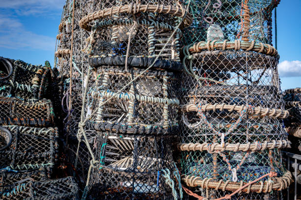 istock Fishing nets and lobster pots 1351689725