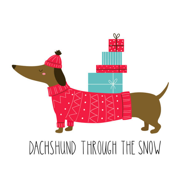 ilustraciones, imágenes clip art, dibujos animados e iconos de stock de lindo perro salchicha con letras dibujadas a mano: perro salchicha a través de la nieve. personajes navideños. ilustración infantil vectorial en color dibujada a mano. - dachshund