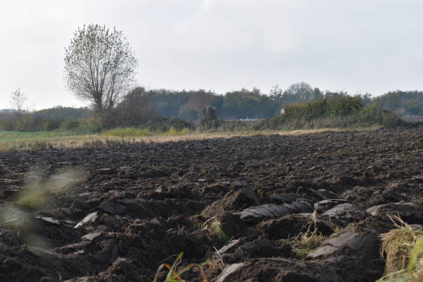 istock Looking over a plowed field on a hazy autumn day. 1351695225
