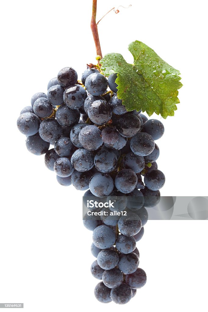 Umyć niebieski klastra winogron na białym - Zbiór zdjęć royalty-free (Bez ludzi)