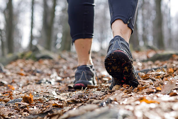 istock Woman walking in forest 135169606
