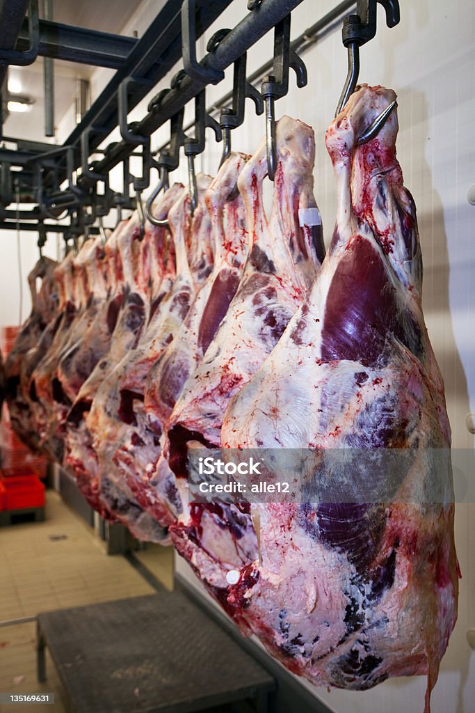 Carne crua pendurado em um grande frigorífico - Royalty-free Bife Foto de stock