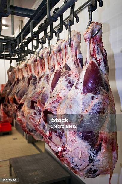 Carne Crua Pendurado Em Um Grande Frigorífico - Fotografias de stock e mais imagens de Bife - Bife, Carne, Carne Vermelha