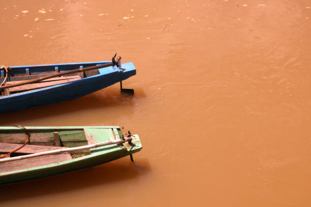 Logging trees around the river causes erosion during the rainy season. The soil around the river will be carried away by rainwater and mixed with river water, resulting in cloudy and silting of the river