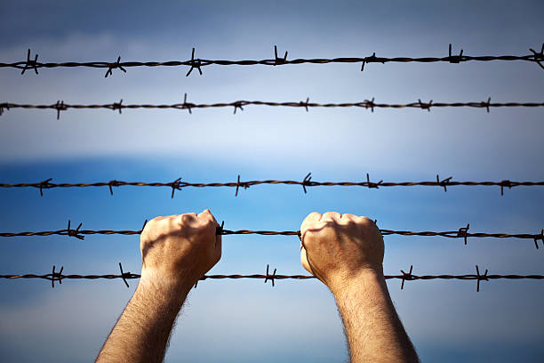 istock Closeup of a hands on barbed wire 135169911